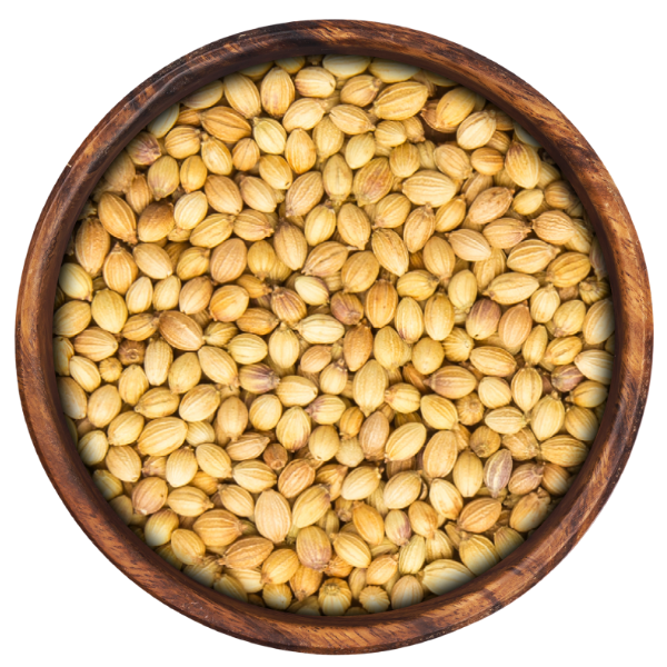 Whole Coriander Seeds (500 gm)